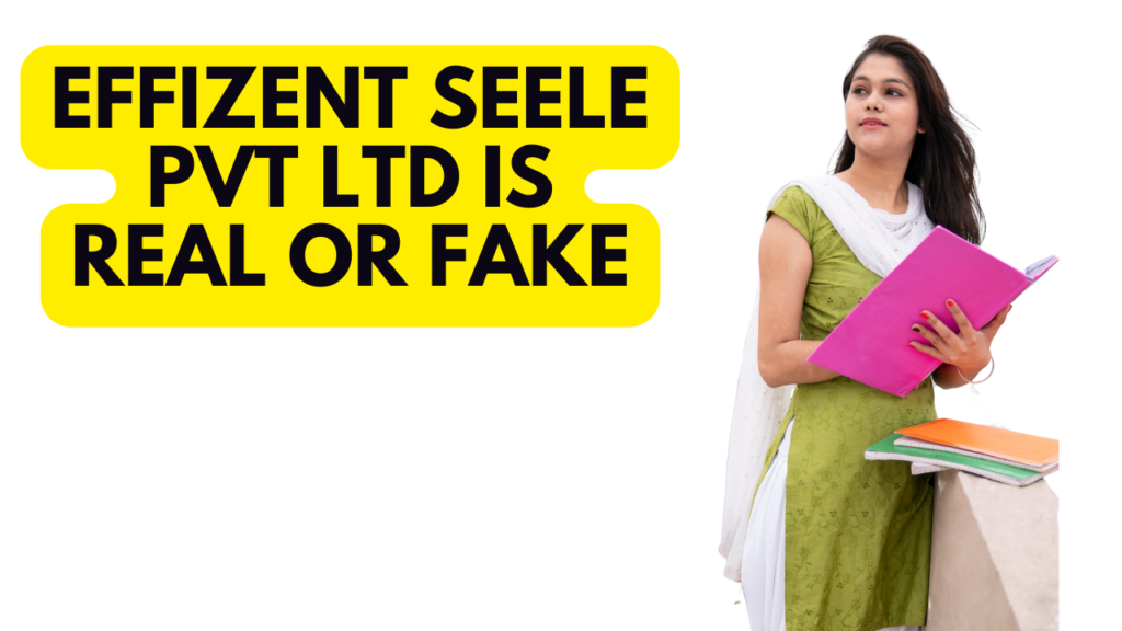 Effizent Seele Pvt Ltd is Real or Fake
