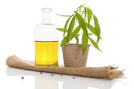 Hemp Extraction Services