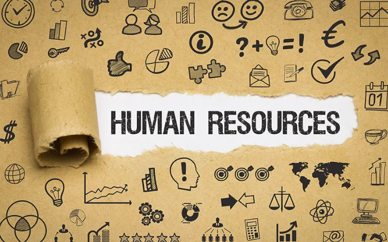 The Evolution and Importance of Human Resources in Modern Business